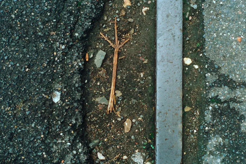 Feuilles mortes - 6 © Benoît Labourdette 1998.