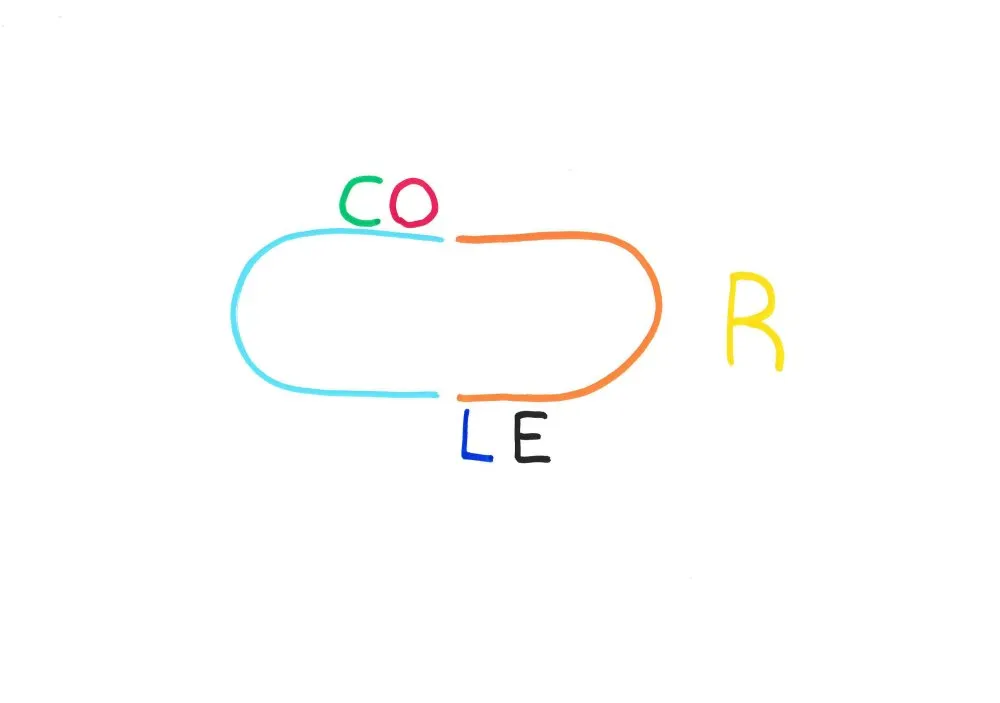 Calligraphy #12 - 11 © Benoît Labourdette 2019.