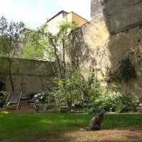 Jardin © Benoît Labourdette.