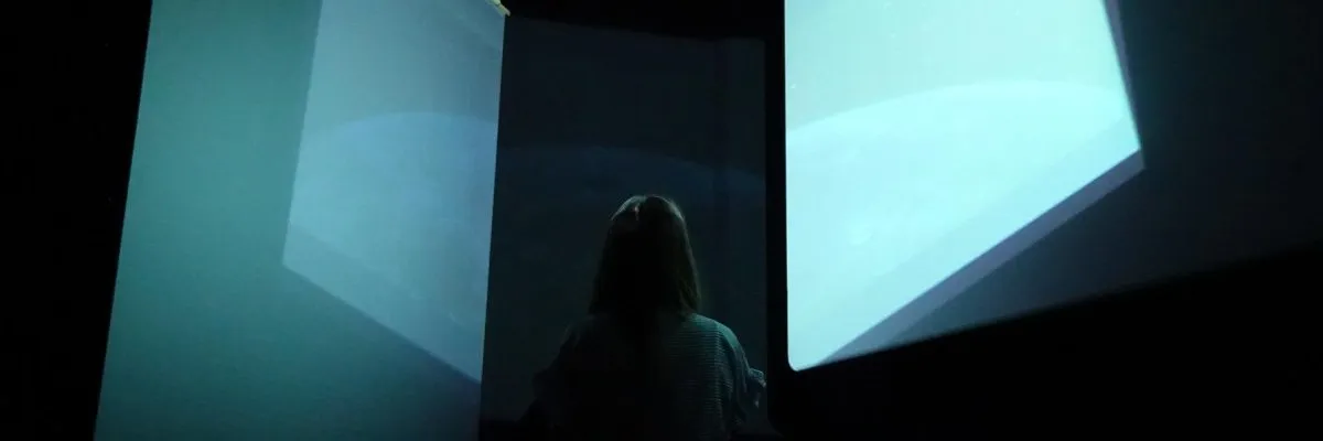 DRAC and DAAC Pays de la Loire: “Learning to see and hear, a collective experience”