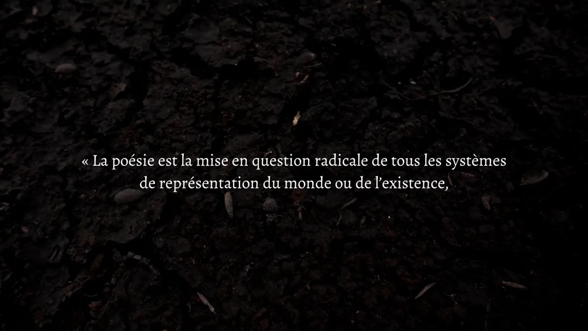 What is poetry?