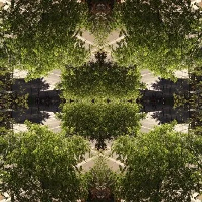 Cultivating digital sovereignty