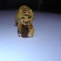 Animal