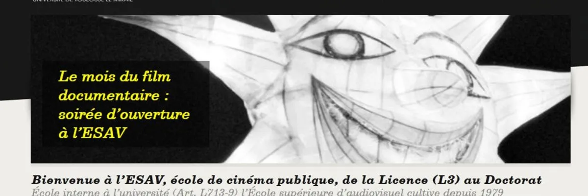 Site web www.esav.fr