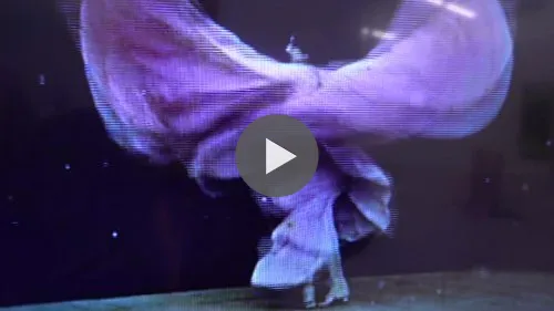 Danseuse : Loïe Fuller