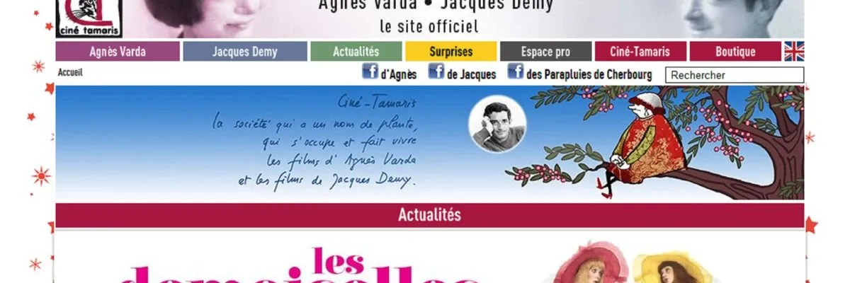 www.cine-tamaris.fr website