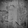 Grain