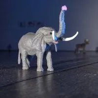Eléphant © Benoît Labourdette.
