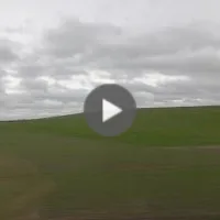 Love seen from the train