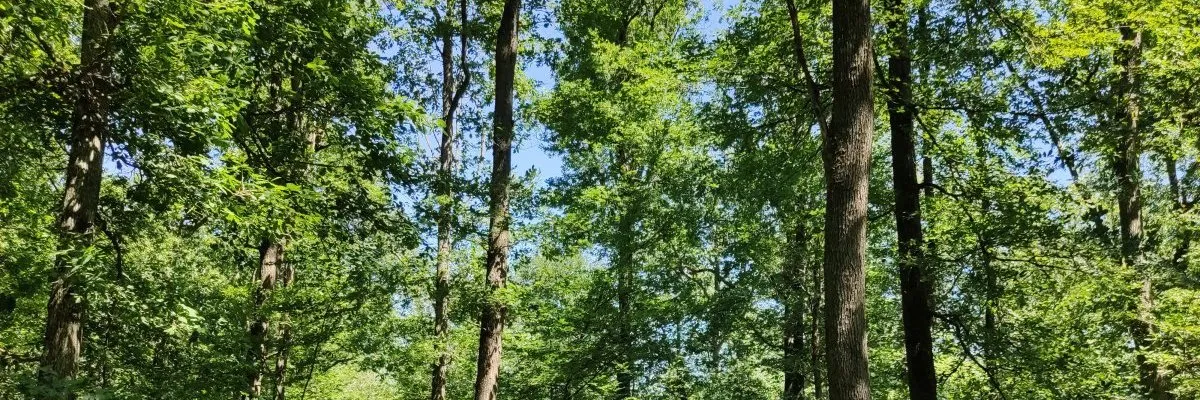 Framework, purpose and transgression