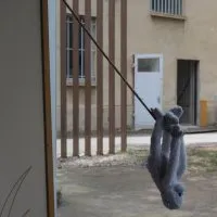 Le lien qui émancipe