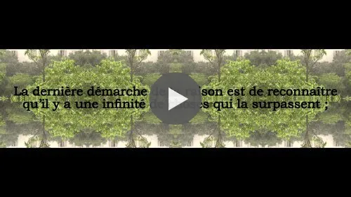 La raison (pensée 267)