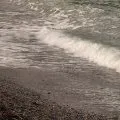 Wave