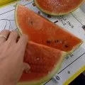 Fruits
