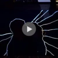 L'amour au présent confiné