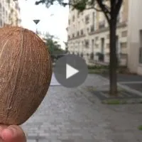 Coco