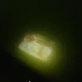 Eau