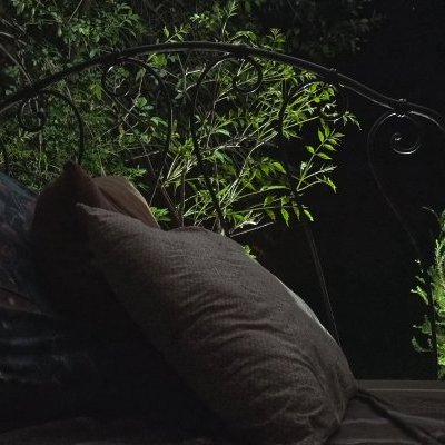 Cushion