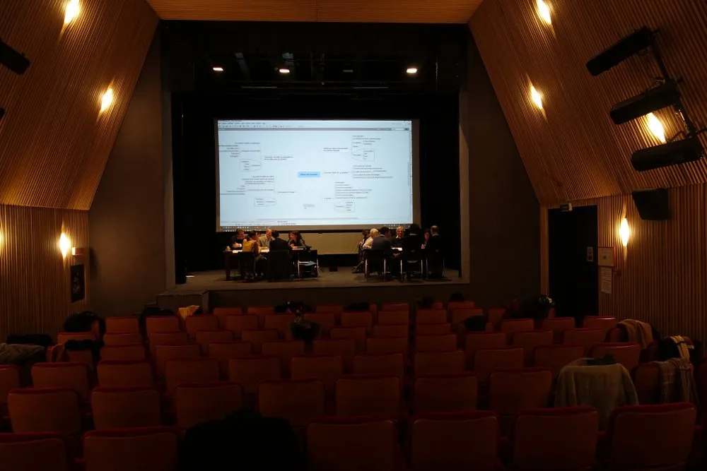 Institut Français: Innovating in cultural policies for cinema and the relationship with the public, in the light of digital practices - 1 © Benoît Labourdette 2018.