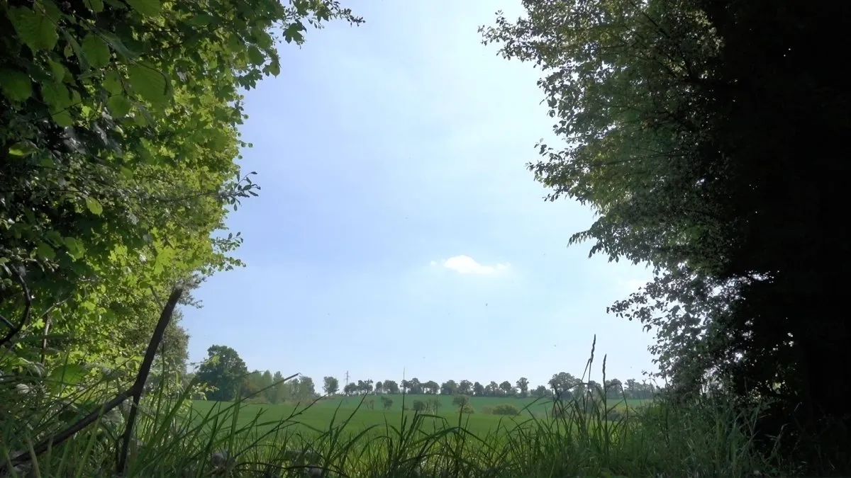 Trouée
