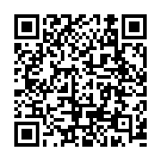 qrcode:https://benoitlabourdette.com/ingenierie-culturelle/projections-itinerantes/nuit-blanche-a-vitry-sur-seine